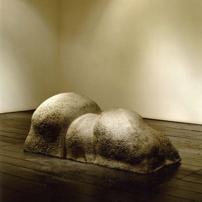 秋から冬へ　From autumn to winter